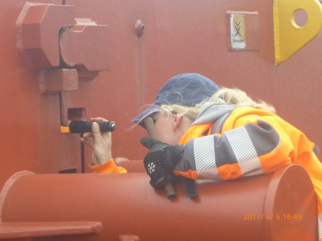 GEMİ AMBAR, TANK, KARA TANKLARI , DEPOLAR, ÇELİK SİLOLAR, ARAÇ, VAGON, KONTEYNER TEMİZLİK UYGUNLUK KONTROLLERİ