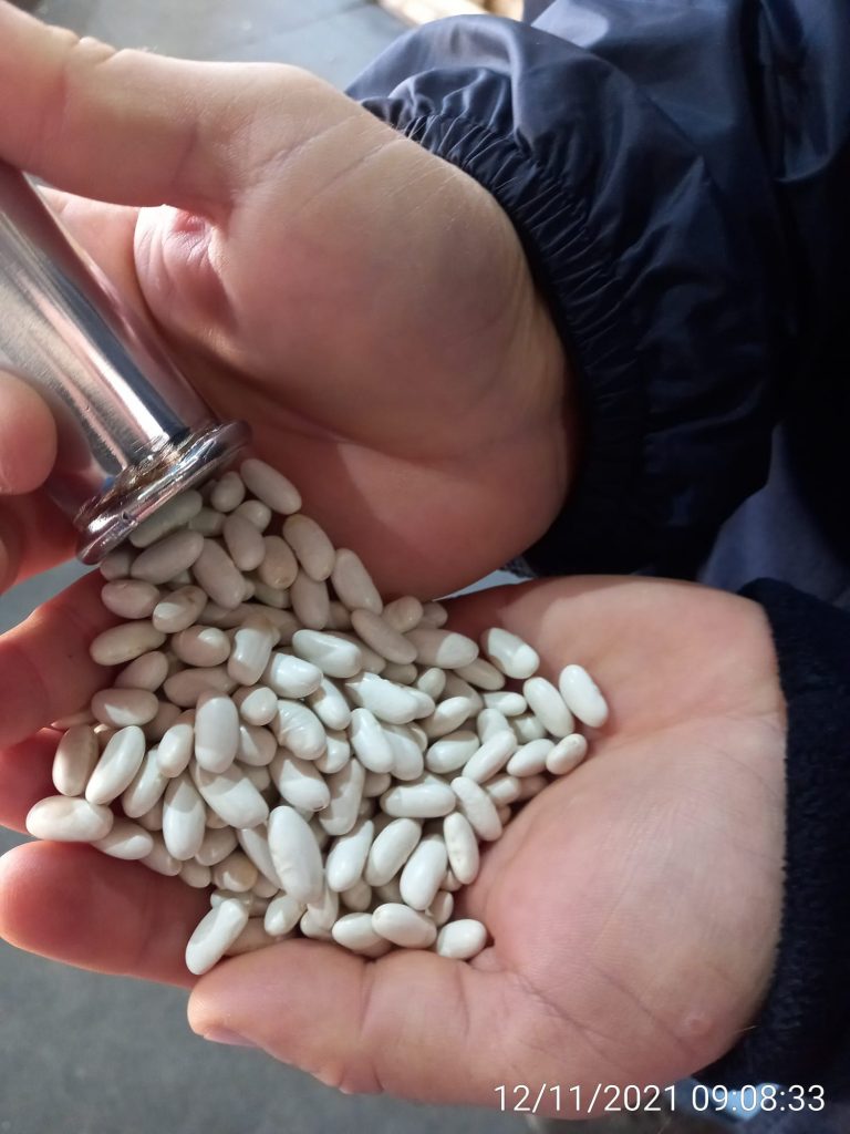 NUMUNE ALMA VE LABORATUVAR HİZMETLERİ